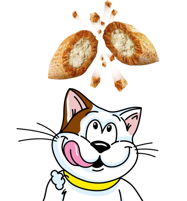 Irresistible for Cats and Kittens