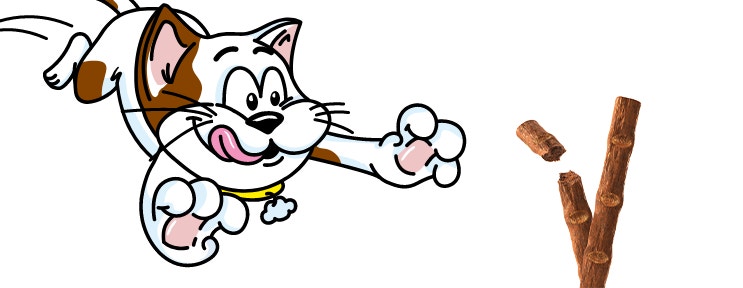 Mięsiste Przekąski dla Kota